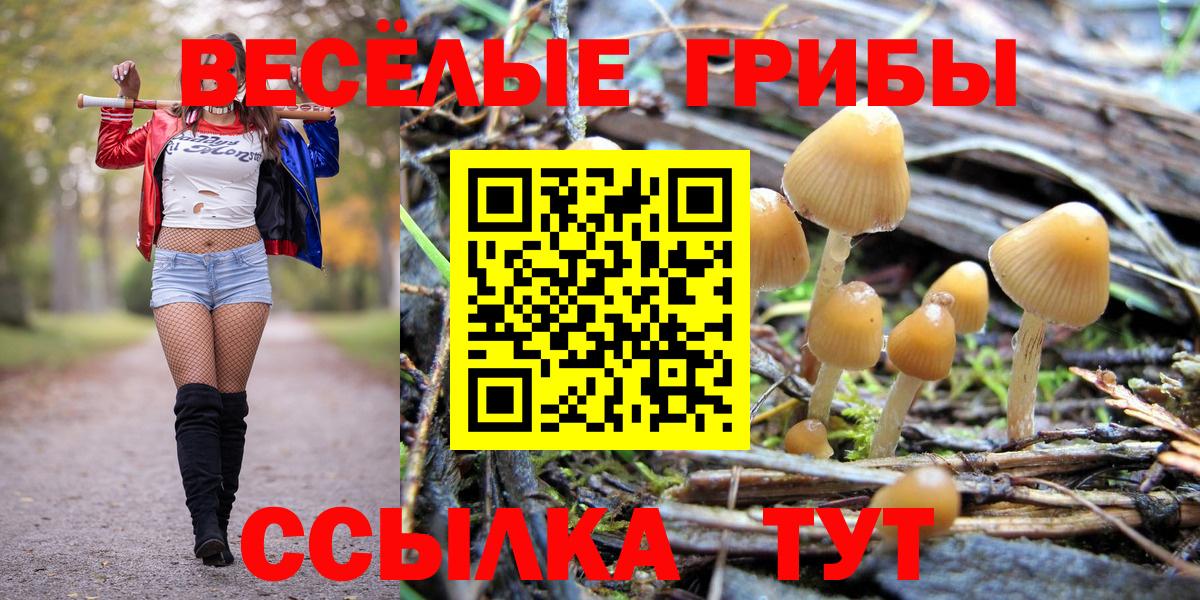 Псилоцибиновые грибы прущие грибы  Вход с VPN  Галлюциногенные грибы Cubensis  Истра 