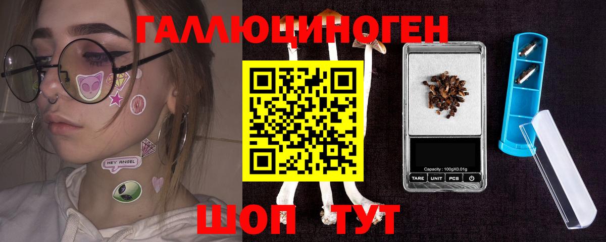Псилоцибиновые грибы Psilocybe Истра